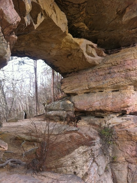 Double Arch - 05
